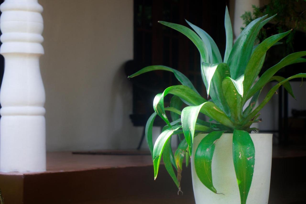 Jungle View Guesthouse Unawatuna Εξωτερικό φωτογραφία