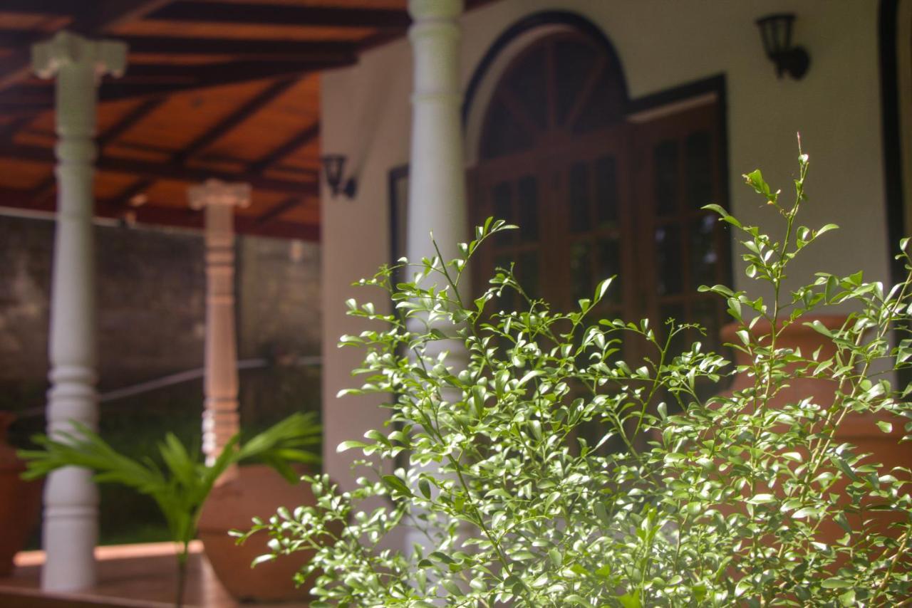 Jungle View Guesthouse Unawatuna Εξωτερικό φωτογραφία
